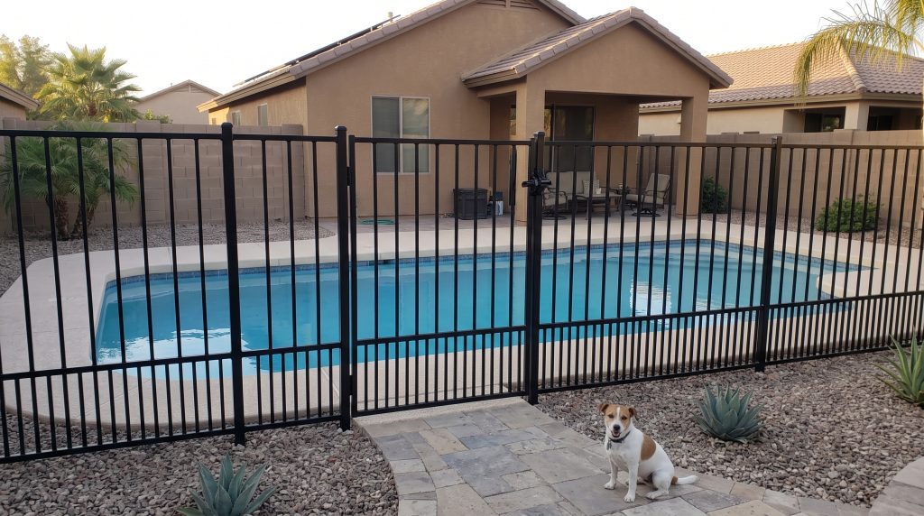 Dog sitting safely outside a black metal pool fence with the pool behind it in a Phoenix backyard
