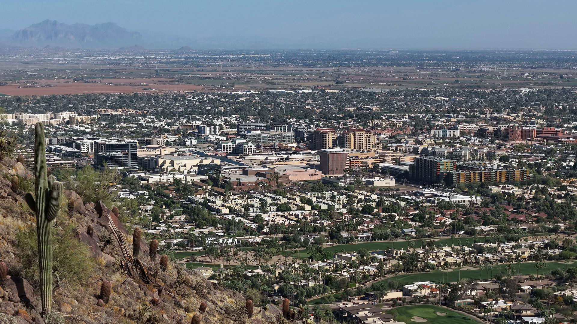 View over Scottsdale, Arizona from a desert hillside with a saguaro cactus
